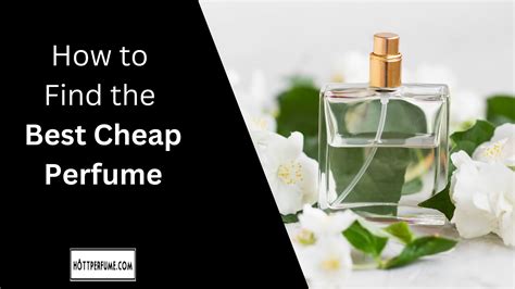 best budget perfume|best perfume not expensive.